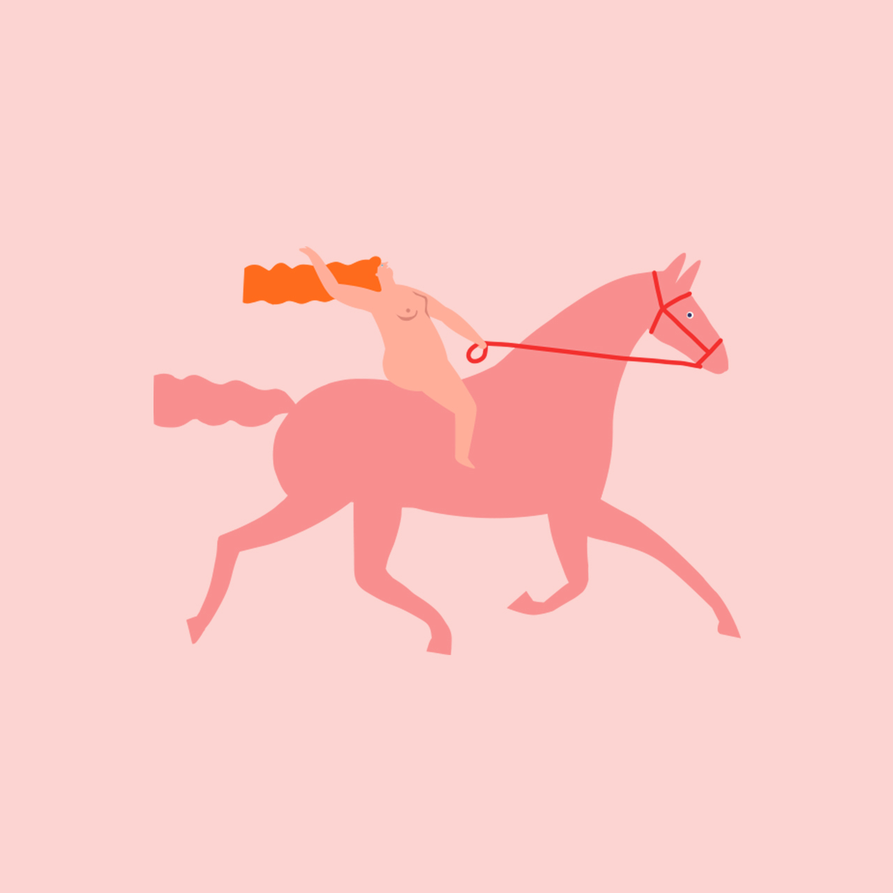 Absolutely Wild Jonathan Zenti